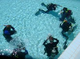 Pool Session, day II. Taken By: 