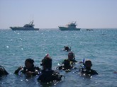 Open Water Training II. Taken By: 